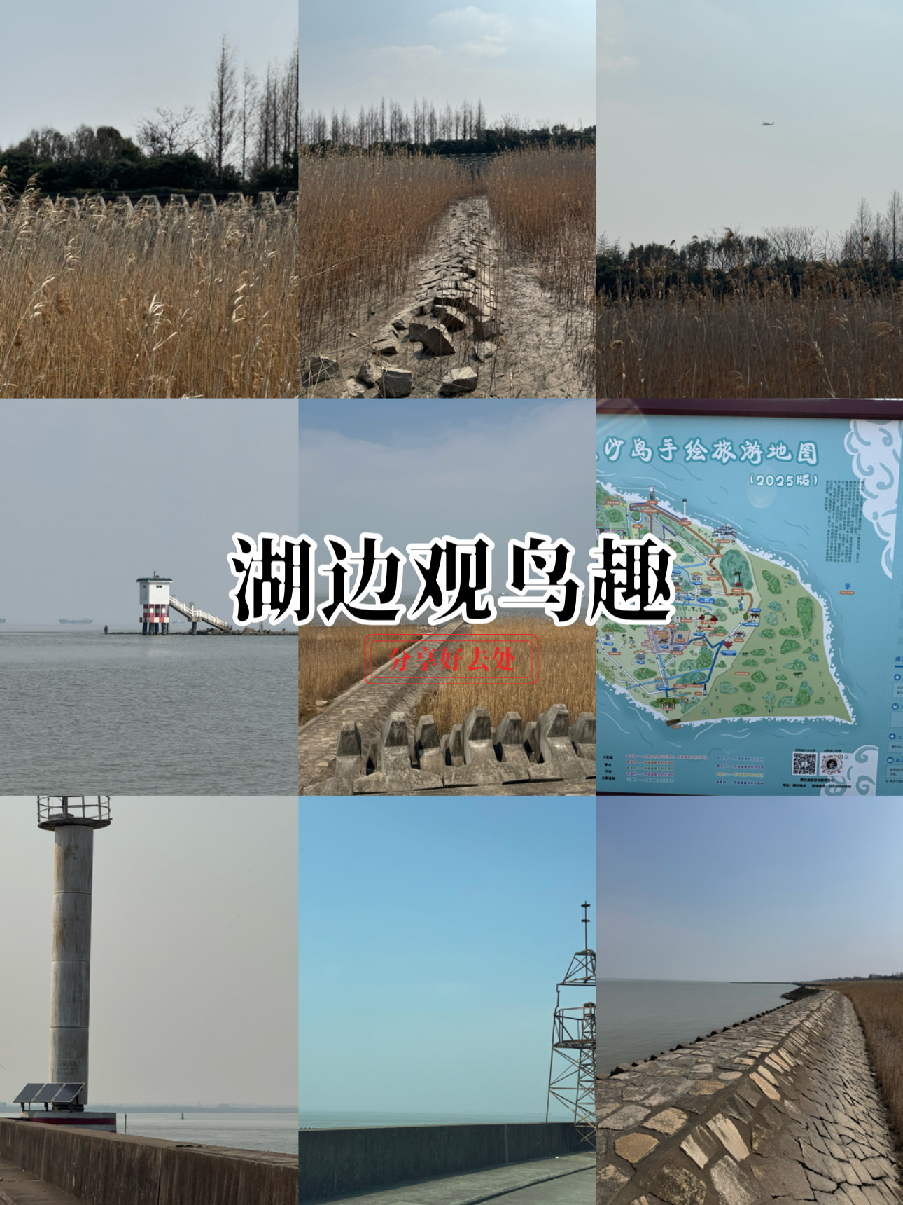 湖远行的真实资料(湖远行的真实资料 网上)